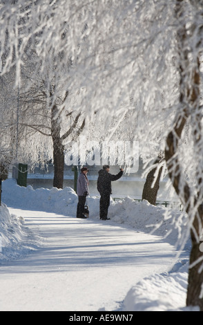 Un couple debout sous les arbres givré sur froide journée d'hiver , Finlande Banque D'Images