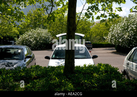 Une voiture garée avec son coffre ouvert arrière est partiellement masquée par des arbres Banque D'Images