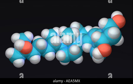 Le modèle moléculaire synthèse de calcitriol 1 25 dihydroxycholecalciferol la forme biologiquement active de la vitamine D Banque D'Images