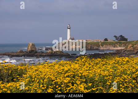 Pigeon Point Lighthouse exemple important d'architecture phare maintenant une auberge de jeunesse San Mateo Côte de la Californie au sud de San F Banque D'Images