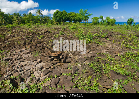 Pulemalei star ancienne forêt tropicale SAVAII SAMOA mound Banque D'Images