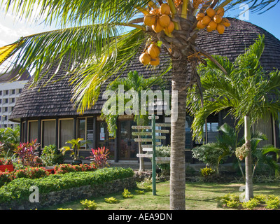 Office de Tourisme Bureau de l'agence à APIA Samoa occidentales Samoa Upolu Polynésie française Banque D'Images