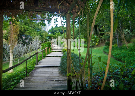 Fidji Îles au sud de la mer de Southsea Forêt Forêt tropicale du Pacifique l'abaca Nadi Jardin du Géant Dormant Banque D'Images