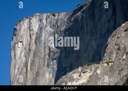 La lumière du matin sur El Capitan dans la vallée de Yosemite YOSEMITE NATIONAL PARK CALIFORNIA Banque D'Images