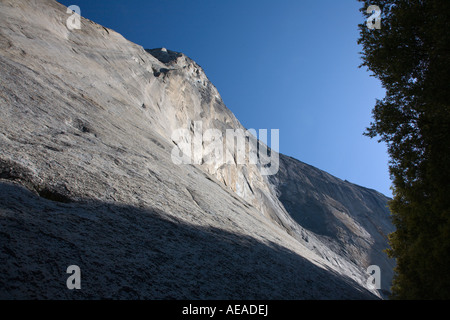 Jusqu'à la recherche de la base d'El Capitan dans la vallée de Yosemite YOSEMITE NATIONAL PARK CALIFORNIA Banque D'Images