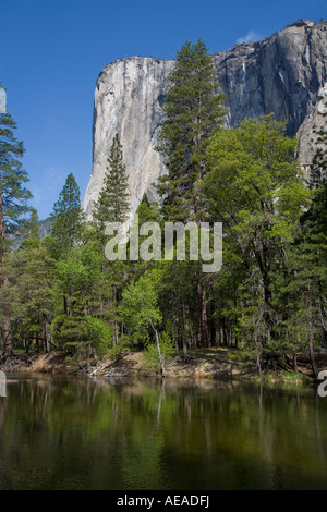 La Merced River s'écoule en dessous de El Capitan dans la vallée de Yosemite en Californie Yosemite National Park de printemps Banque D'Images