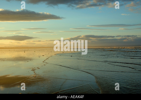 Les sables bitumineux de l'ouest, St Andrews, Fife, en Écosse. Banque D'Images