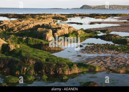 Crépuscule sur la plage de Clonea Bay près de Dungarvan, comté de Waterford, Irlande Banque D'Images