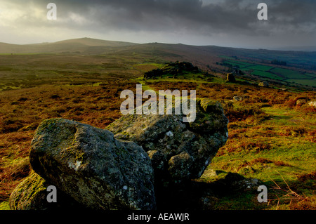 L'atmosphère fantastique à l'hiver la lumière du matin sur le Dartmoor à Chinkwell à Bell de Tor Tor dans la distance moyenne Banque D'Images