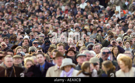 Festival de courses de Cheltenham foule utilisez des jumelles pour regarder les courses de chevaux Gloucestershire Banque D'Images