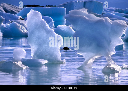L'Islande, Jokulsarlon, icebergs flottant dans le lac Joint intermédiaire Banque D'Images