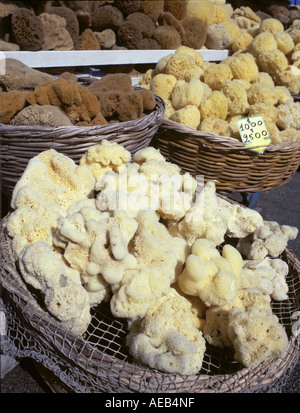 Éponges naturelles sur la vente au marché de la rue grecque La Grèce Banque D'Images