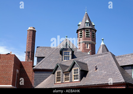 Toit de ciel Banque D'Images