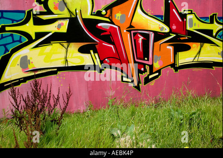 Les mauvaises herbes qui poussent en avant d'un mur en bois recouvert de graffitis Banque D'Images