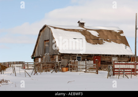 Grange à l'abandon couvert de neige en Alberta Canada Banque D'Images