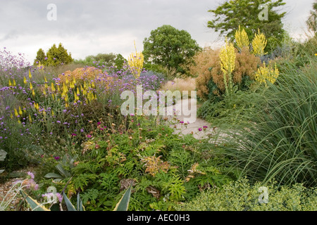 RHS jardin sec Hyde Hall UK Essex Banque D'Images