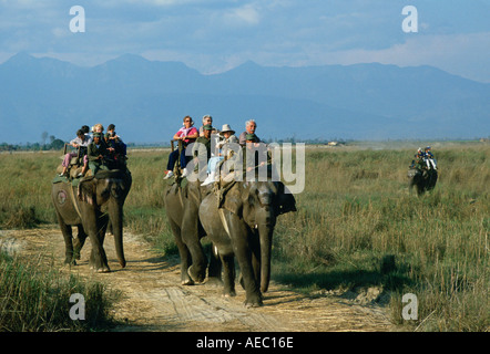 Les touristes sur les éléphants dans le parc national Royal de Chitwan Népal Banque D'Images