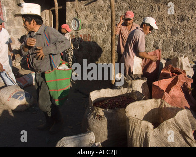 Un grossiste en café chemise à carreaux rouge achète les grains de café brut provenant de producteurs locaux Banque D'Images