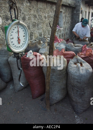 Un grossiste en café chemise à carreaux rouge achète les grains de café brut provenant de producteurs locaux Banque D'Images