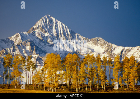 Couleurs d'automne et la neige sur le pic Wilson près de Telluride, Colorado USA Banque D'Images