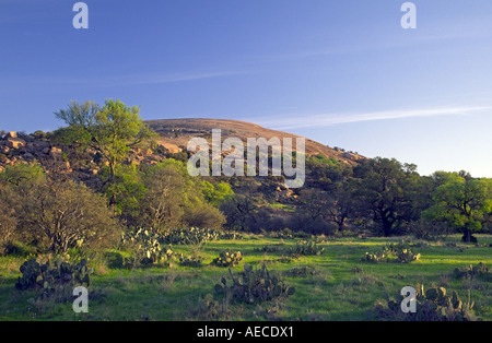 Dôme de granit de Enchanted Rock au lever du soleil en montagne près de Fredericksburg, au Texas, USA Banque D'Images