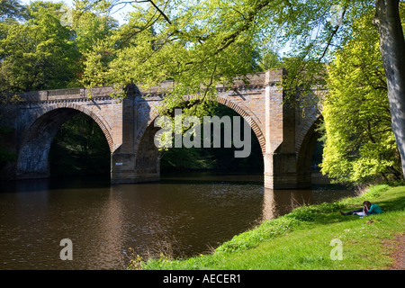 La révision des étudiants assis à l'ombre d'un arbre sur la rivière au pont d'usure Prebends Durham Angleterre Banque D'Images