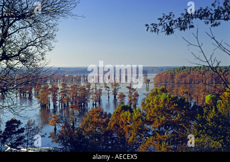 Vue Caddo Lake, près de Potters Point, Texas, États-Unis Banque D'Images