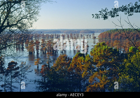 Vue Caddo Lake, près de Potters Point, Texas, États-Unis Banque D'Images