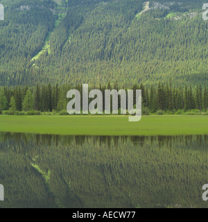 Mt Robson Provincial Park Canada Banque D'Images