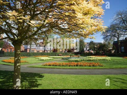 'Grosvenor Park' park Chester Angleterre arbre Banque D'Images