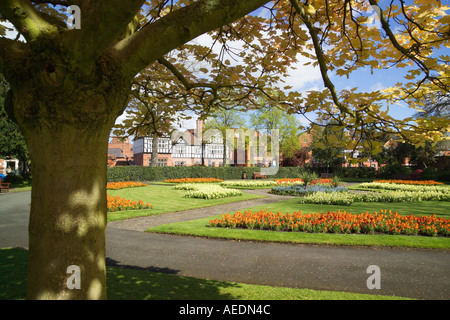 'Grosvenor Park' park Chester Angleterre arbre Banque D'Images