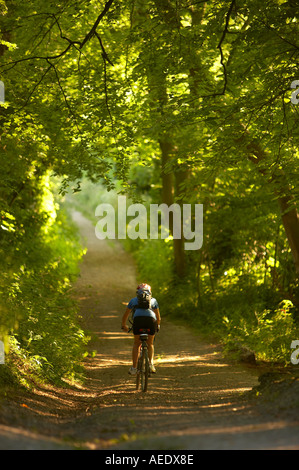 Femme en vtt le vélo vers le bas pays verdoyant lane nr enfant Okeford Dorset England UK Banque D'Images