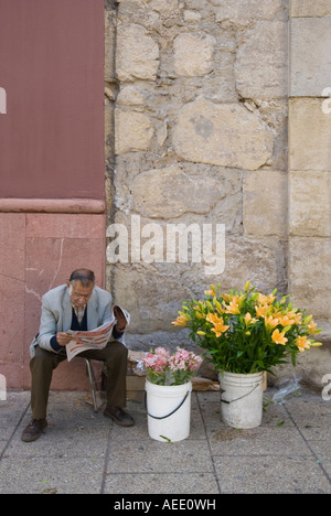 Un homme vente de fleurs dans la rue à Santiago, Chili. Banque D'Images