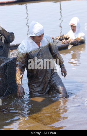 PEMEX contractuels tentent de récupérer des terres à l'emplacement d'un déversement de pétrole brut dans le champ de Cinco Presidentes, Tabasco, Mexique Banque D'Images