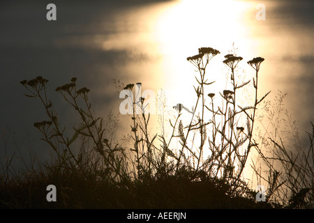 Coucher du soleil au lac Vidraru, montagnes de Fagaras, Transylvanie, Roumanie Banque D'Images