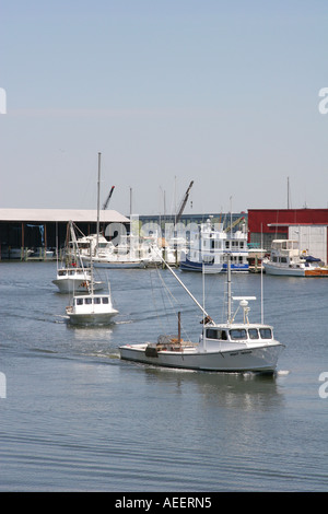 Bateaux de la baie de Chesapeake de retour de journée de travail Banque D'Images