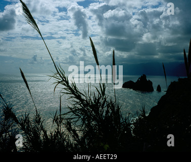 Trou dans la roche Reed sur la côte du nord d'Ilheus da Janela Ribeirada, Madeira, Portugal l'Europe. Photo par Willy Matheisl Banque D'Images