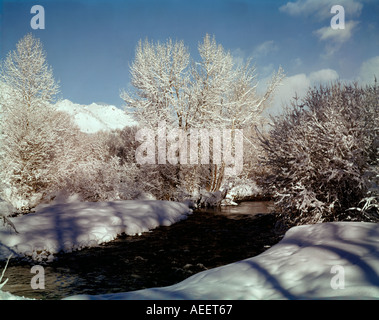 Winter scene along the Big Wood River in the Sawtooth National Recreation Area of Idaho with hoarfrost coating the trees Banque D'Images