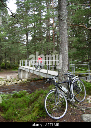 Cycliste sur le pont de fer de Rothiemurchus près d'Aviemore Ecosse Invernesshire Banque D'Images