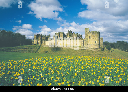 Château d'Alnwick et la campagne environnante au printemps, Northumberland Banque D'Images