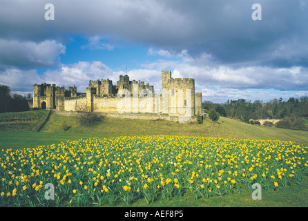 Château d'Alnwick et la campagne environnante au printemps le Northumberland Royaume-uni Banque D'Images