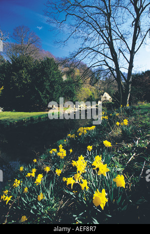 Le Jesmond Dene, printemps, Newcastle upon Tyne Banque D'Images