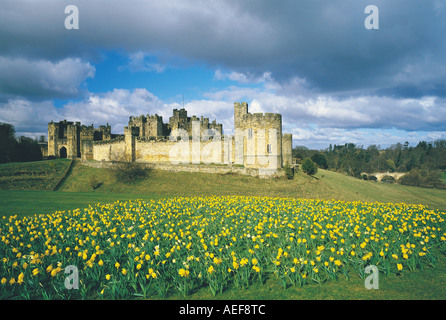 Château d'Alnwick et la campagne environnante au printemps, Northumberland Banque D'Images