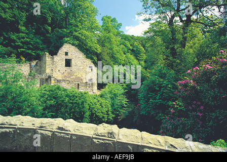 Le Jesmond Dene, Newcastle upon Tyne, Tyne and Wear, Royaume-Uni Banque D'Images