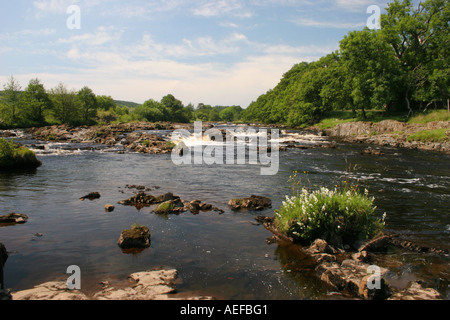 La Rivière Tees à faible force au-dessus de la région de Teesdale County Durham UK Banque D'Images