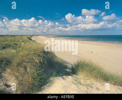 Druridge Bay et des dunes de sable, la côte de Northumberland, UK Banque D'Images