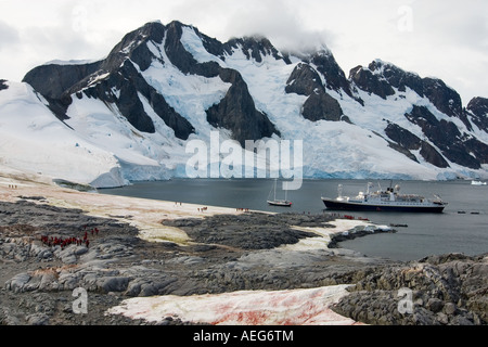 Les touristes extraire une Gentoo pingouin Pygoscelis papua colonie le long de la péninsule Antarctique de l'ouest Banque D'Images