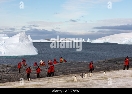 Les touristes extraire une Gentoo pingouin Pygoscelis papua colonie le long de la péninsule Antarctique de l'ouest Banque D'Images