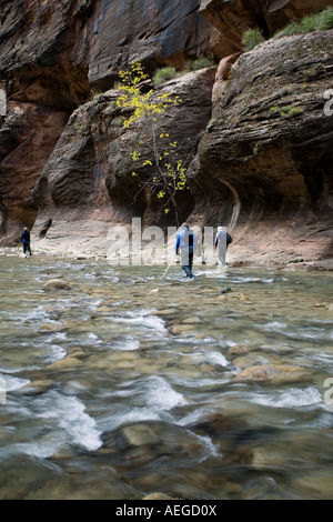 Randonneurs dans les Narrows Banque D'Images