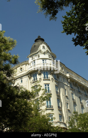 Hotel Ritz Madrid Espagne Banque D'Images